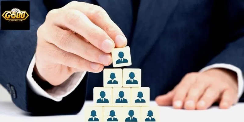 ceo co hoc thuc cao